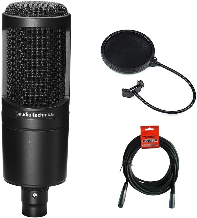 Audio-Technica AT2020 (Best for Treated Rooms)